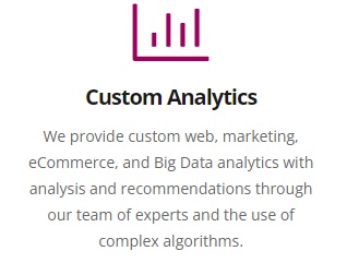 Custom Analytics